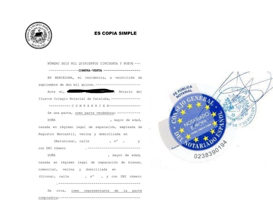 copia simple registral ejemplo