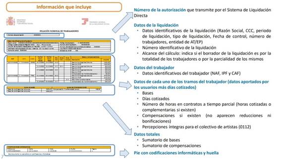 ▷ ¿Qué es el RLC y RNT? - APRENDE RED
