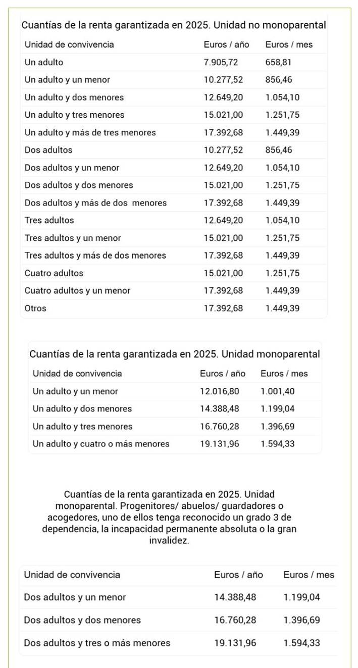 Nuevos importes IMV 2025