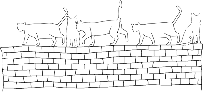 Un muro sobre el que hay varios gatos. Algunos están sentados, pero hay tres que caminan uno tras otro. Según la teoría, nuestro cerebro es más proclive a ver estos tres como un grupo.