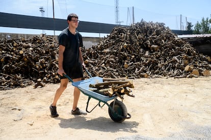 Una trabajador de l'Alter llevando leña de naranjo a los fogones.